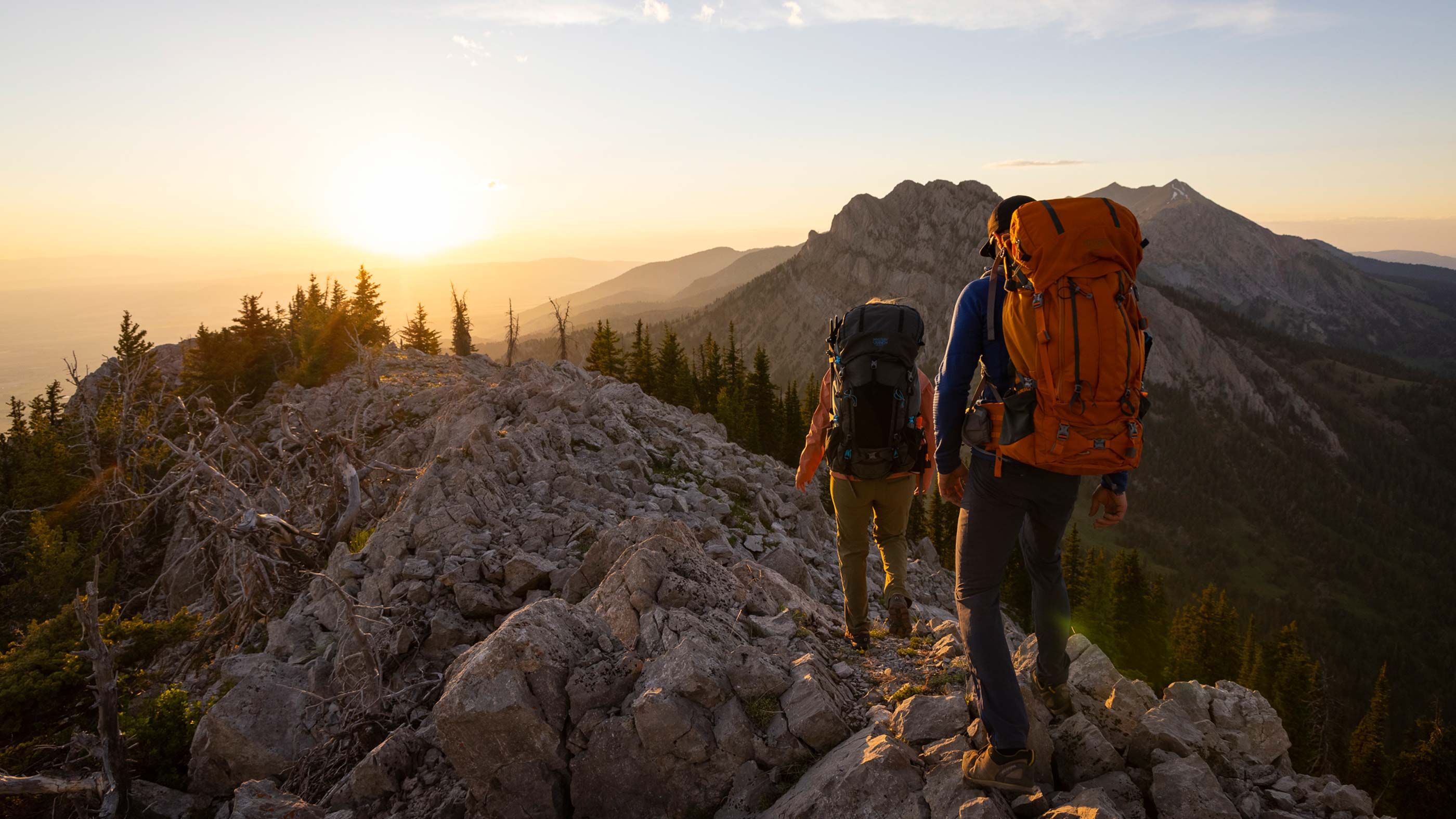 How to Properly Fit and Adjust Your Backpack for Maximum Comfort