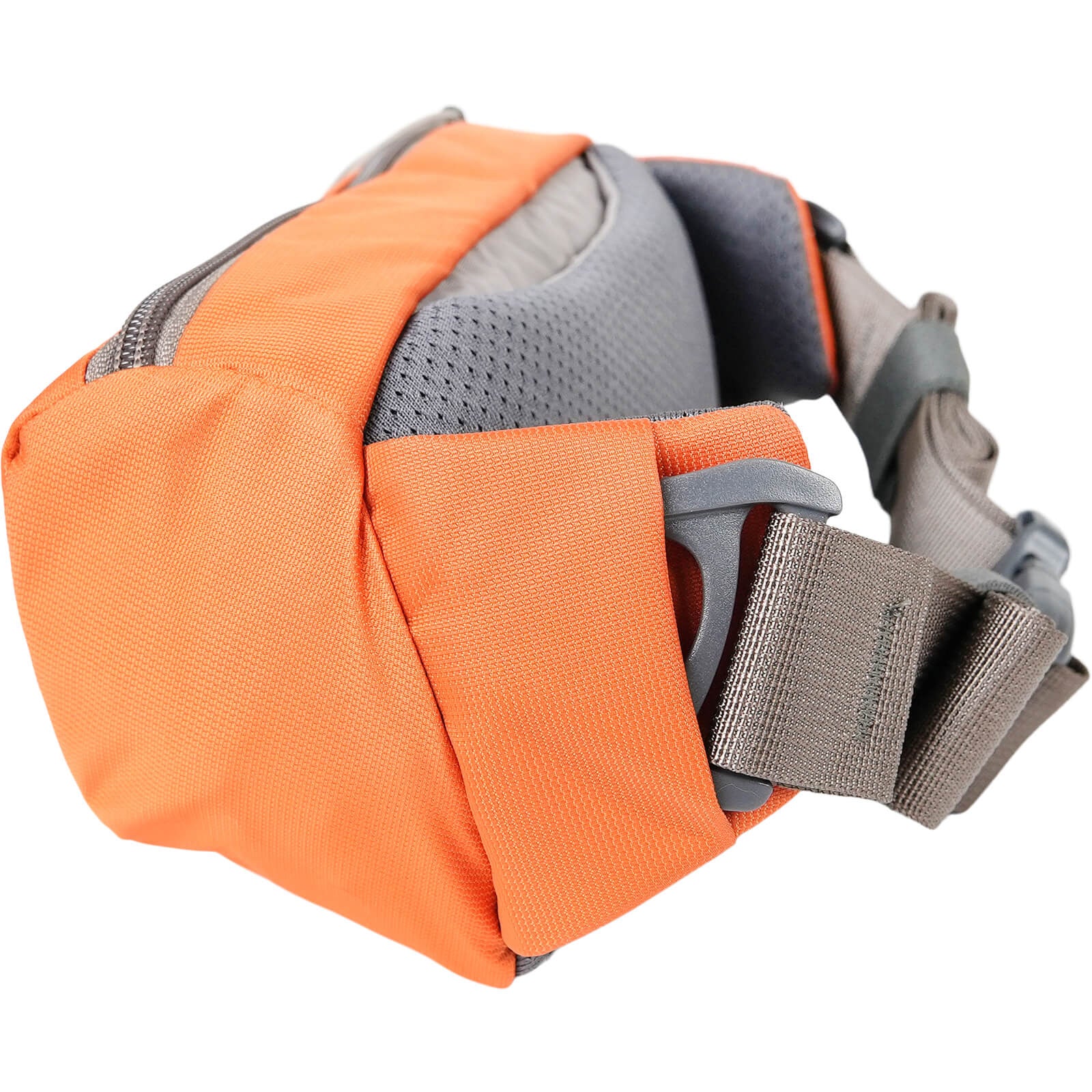 Forager Hip Pack